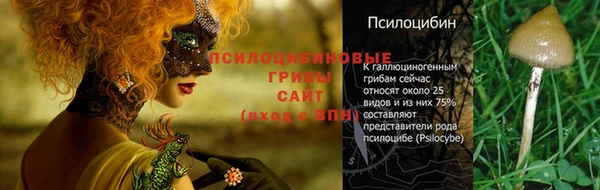 дмт Алексеевка