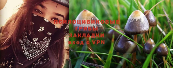 марки lsd Алзамай