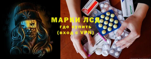 ГАЛЛЮЦИНОГЕННЫЕ ГРИБЫ Михайлов