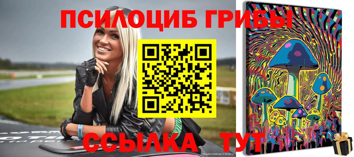 Галлюциногенные грибы прущие грибы  Вход с VPN  Чусовой 